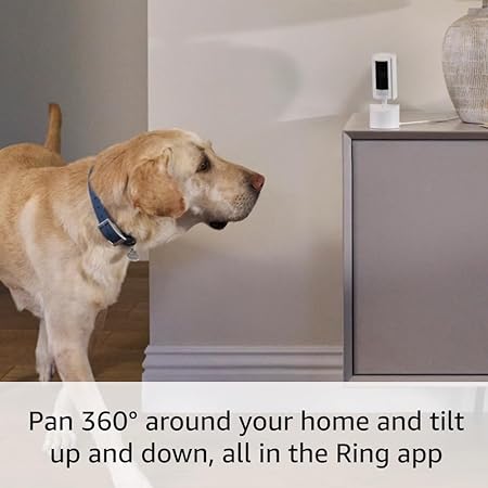 Ring Pan-Tilt Indoor Cam